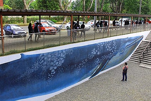 Mural de ballena azul busca sensibilizar y educar a visitantes sobre el peligro de extinción y futuro de esta especie
