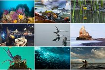 Concurso Ojo de Pez 2016 entregó premios a las mejores fotografías de ecosistemas acuáticos