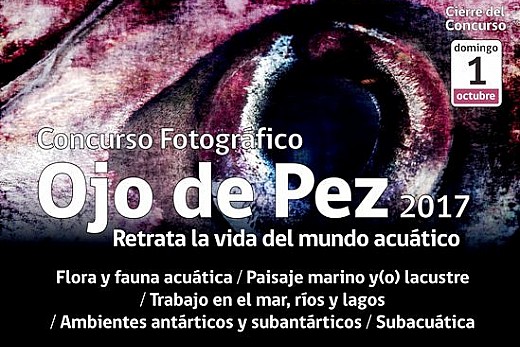 En el mes de la fotografía: concurso Ojo de Pez lanza su cuarta versión