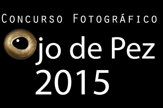 Conoce las fotografías ganadoras de Ojo de Pez 2015