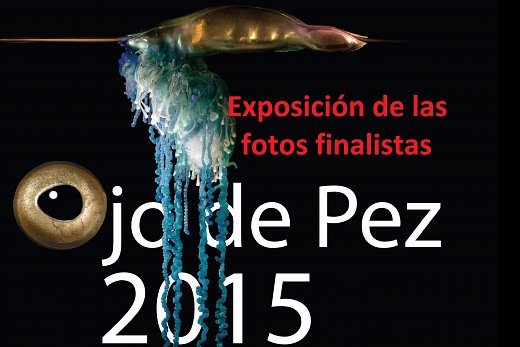 Exponen imágenes finalistas del Concurso Fotográfico Ojo de Pez 2015
