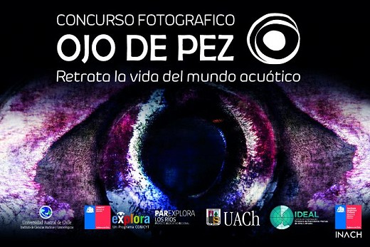 Últimos días para participar en el Concurso Fotográfico Ojo de Pez 2019