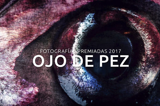 Fotografías Ganadoras del Concurso Ojo De Pez destacan Belleza Acuática de Chile